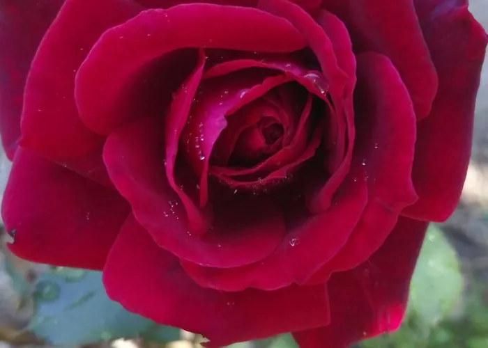 Lägenhet Mare Front *