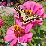 דירה Mare Front *