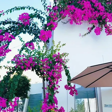 Mare Front Appartement *