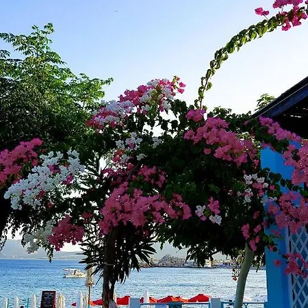 Mare Front Apartmán