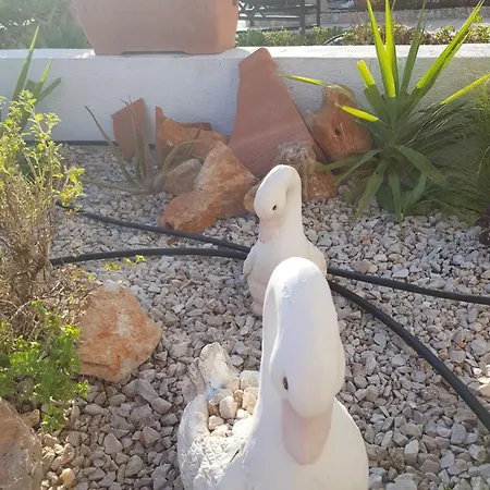 Mare Front Apartment *