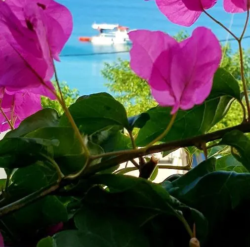 Mare Front Apartman Haráki