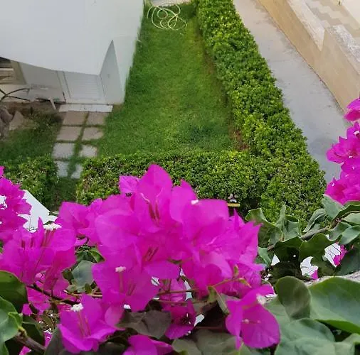 Apartman Mare Front *