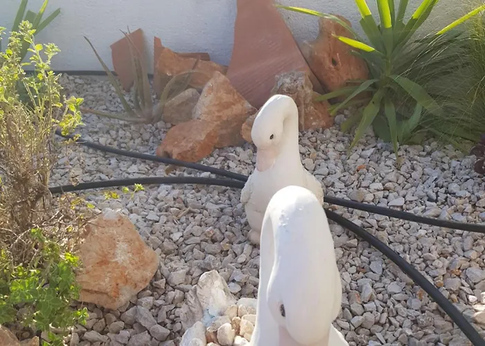 Mare Front Apartment *