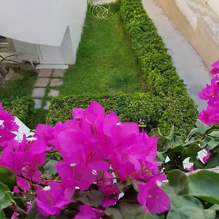 Apartamento Mare Front *