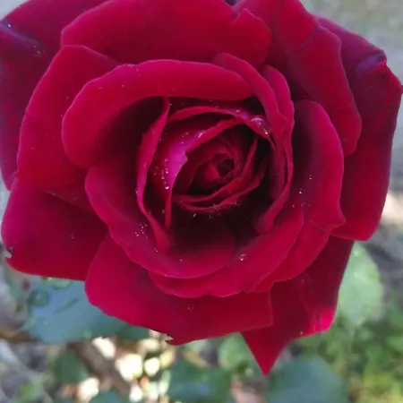 아파트 Mare Front *