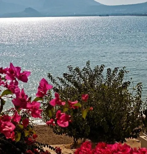 Mare Front * Χαράκι